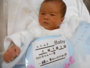 ニシムラベビー