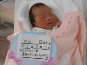 松山ベビー
