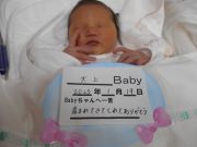 大上ベビー
