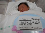 きしがみベビー