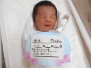 縄稚ベビー