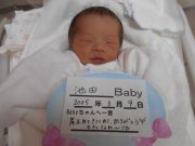 池田ベビー