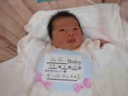 山元ベビー