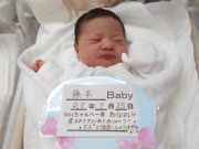 藤本ベビー