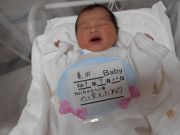 亀田ベビー