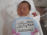 天野ベビー