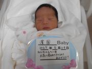 濱園ベビー