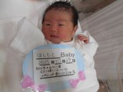 はしもとベビー