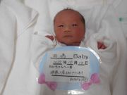 田嶋ベビー